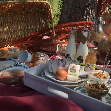 For-rest Glamping Rekken